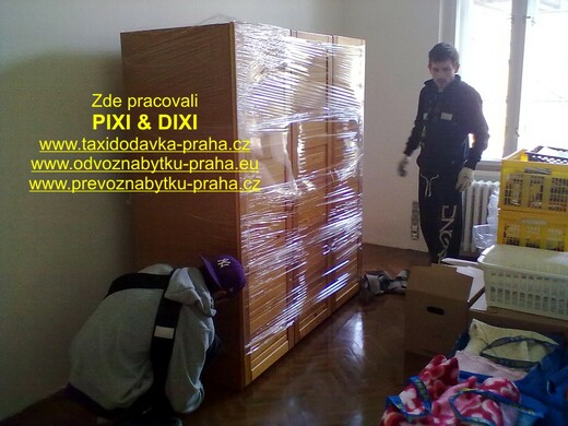 stehovani.jpg